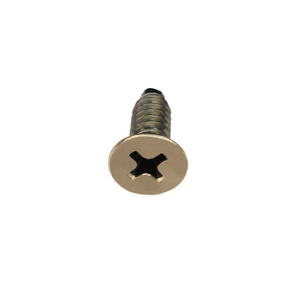 Leaf Hinge Screw