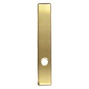 Hinged Patio Door Escutcheon Plate