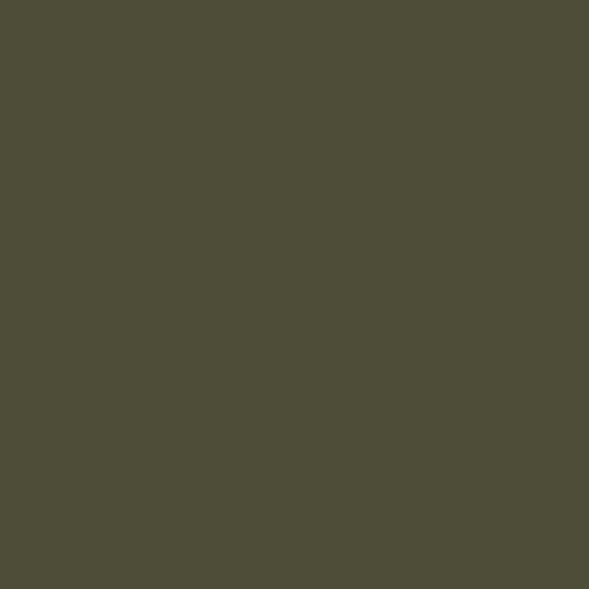 Moss Color Swatch