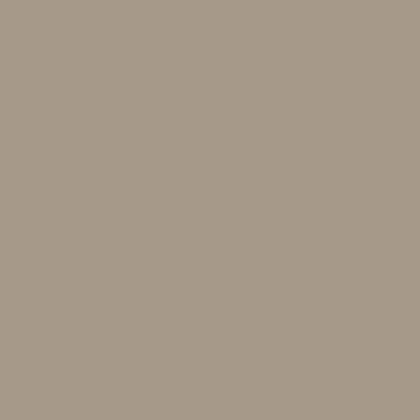 Pebble Tan Color Swatch
