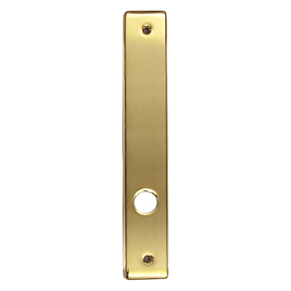 Hinged Patio Door Escutcheon Plate - 2573740